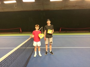 Nyström & Alfven