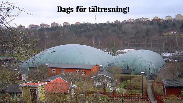 tältuppt