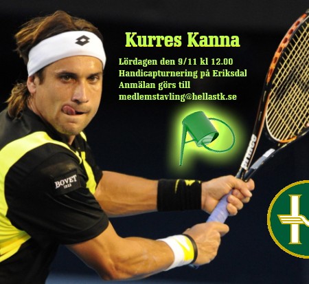 KK-2013-David-Ferrer2