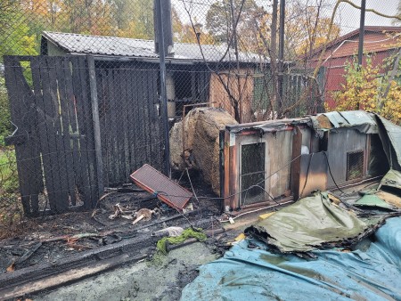 Brand1